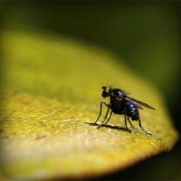 /album/romtathena/photolia-a07-jpg/
